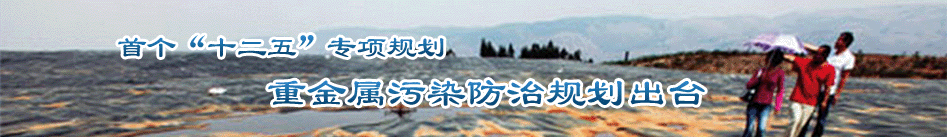 �ׂ���ʮ���塱���Ҏ�����_