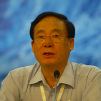 中國電機工程學會理事長,國家電網公司高級顧問