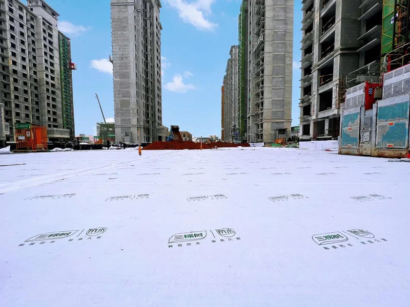 整體完工效果 整體完工效果